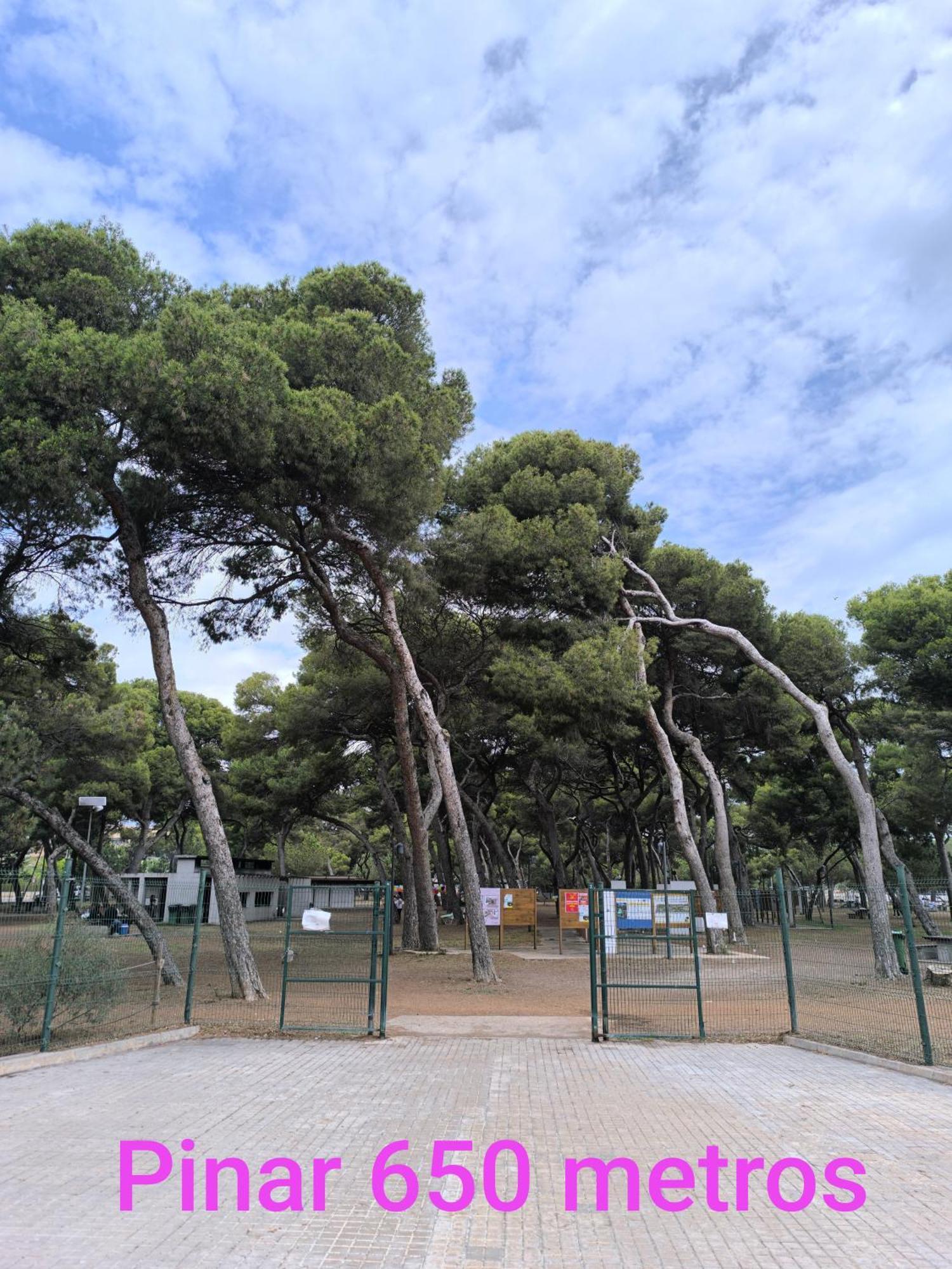 Apartmán Ka La Paca Grao de Castellon Exteriér fotografie